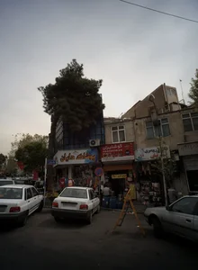 سوپر پروتئین رنگین سفره 2