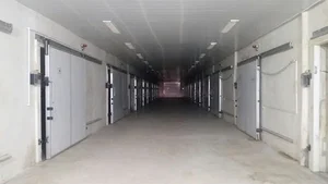 سردخانه