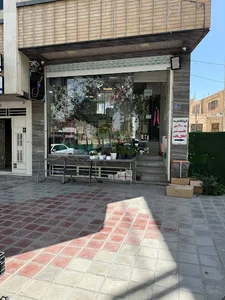 گل یاس