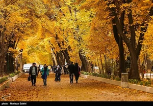 شرکت غله کردستان