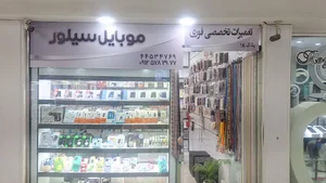 Silver mobile