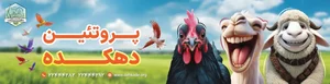 پروتئین دهکده سلامت شعبه 2