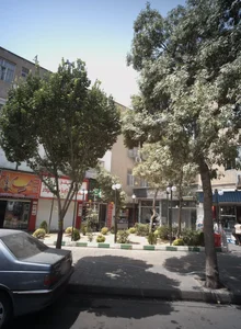 نان و شیرینی قدس 2