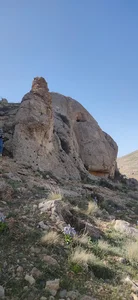 بام بیجار