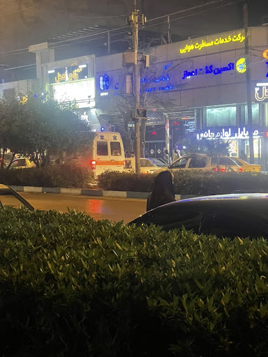 اکسین گشت