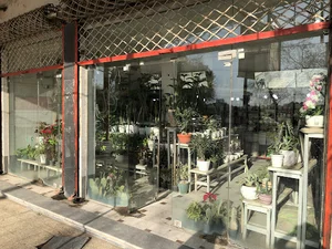 گل سرای محمدیان