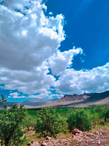 سمبه داش مهماندار