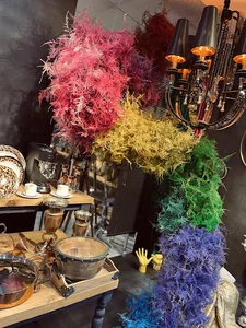 فروشگاه خانه سفید