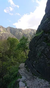 باغات شیخ عمر