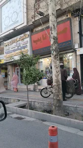 صدرا تایپ