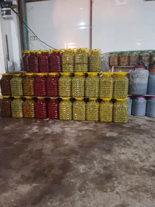 زیتون سرای قریشی
