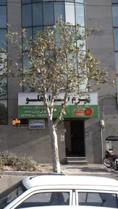 نمایندگی فروش و خدمات(نرم افزار هلو )