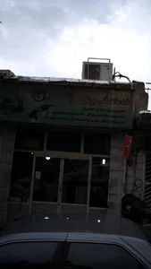 خدمات فنی بوش 2