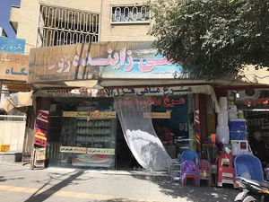 مرغ و ماهی زاینده‌رود