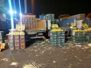 حق العمل کاری حامد خاکی