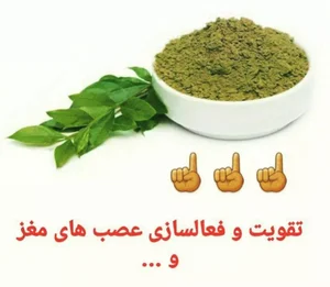 گیاهان دارویی سید باقر حکیم ( استاد عابد ) 3