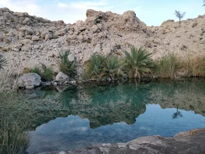 چشمه سبزپوشان برغنی