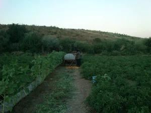 باغ هوشنگ مرادیان
