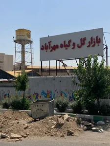 کیف و کفش دارکوب
