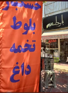 خشکبار بلوط