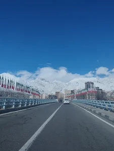 پل سئول