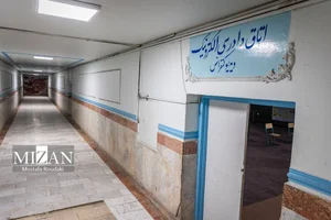 نتورک کالا
