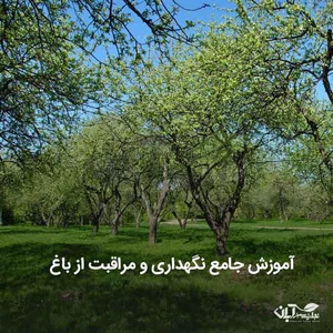 باغ پیارم احمدرضاشرافت