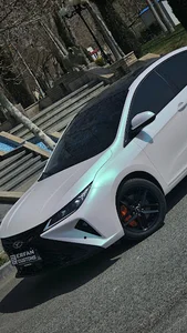 کاور بدنه و شیشه دودی Erfan Custom