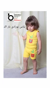 شرکت تولیدی باراک