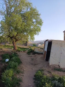 سبزی فروشی