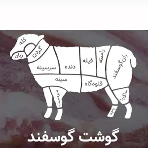 سوپرگوشت کاظم تاجی 5