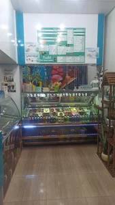 کافه اسکیمو