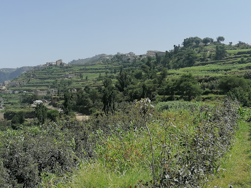 مسجد الجهاو(فضيل شعيب)