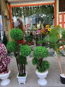 گالری گلها