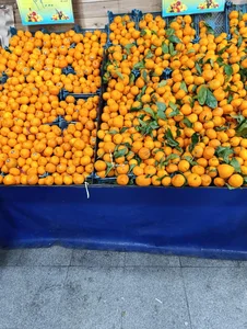 حاجی ارزونی کرج نو 4