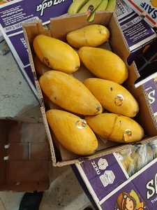 زمانی پخش