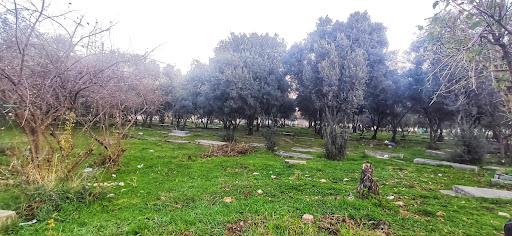شاهزاده حسین