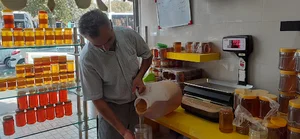 عسل زرنوش عباس زاده
