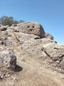 دکتر باستانی
