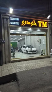 تی ام خودرو