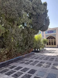 مسجد فیروزآبادی 4