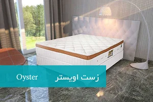 تشك زست