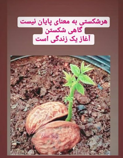 آموزشگاه ماهان باغملک