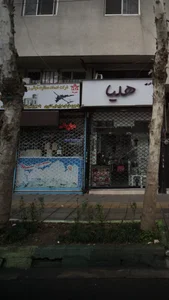 شرکت خدمات مسافرت هوائی و جهانگردی