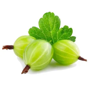 نازبو | بذر میوه گوس بری سبز یا اگور گوزبری و نحوه کاشت