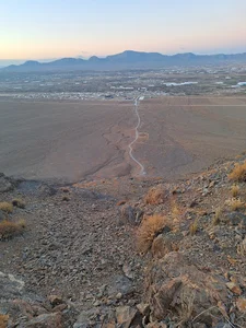 محمدیه