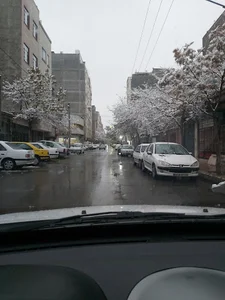 املاک متین