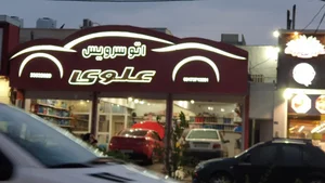 اتوسرویس علوی