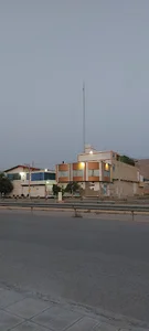 کارخانه بستنی پام