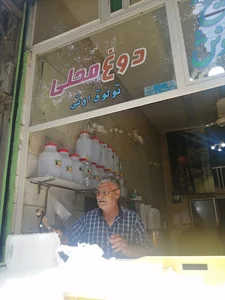 دوغ محلی تولوق اوتی